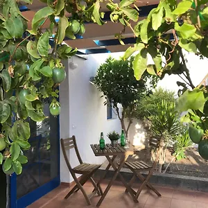 https://apartamento-delia-castillo-a-100-metros-de-la-playa.hotelsfuerteventura.org
